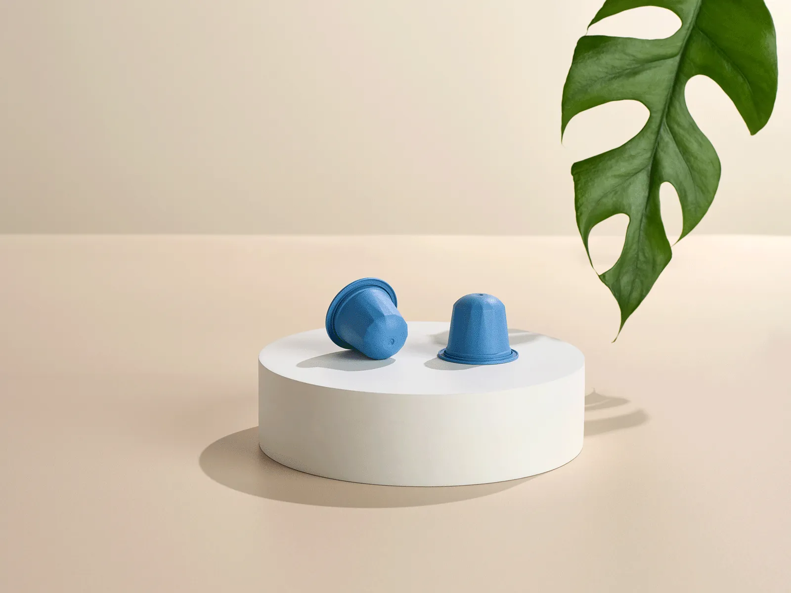 Deux capsules AluSense bleues sur un socle blanc, sur fond crème avec une feuille de monstera, en animation, Studio Ballena